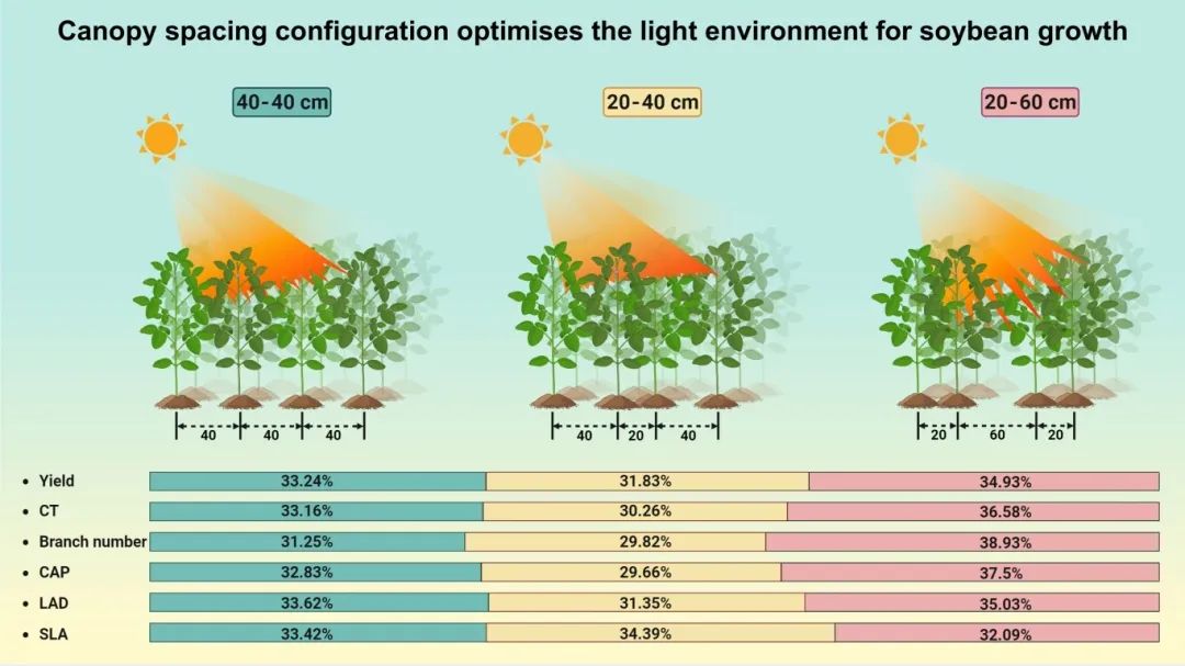 The Crop Journal | 中国农科院作科所优化冠层间距进一步提高密