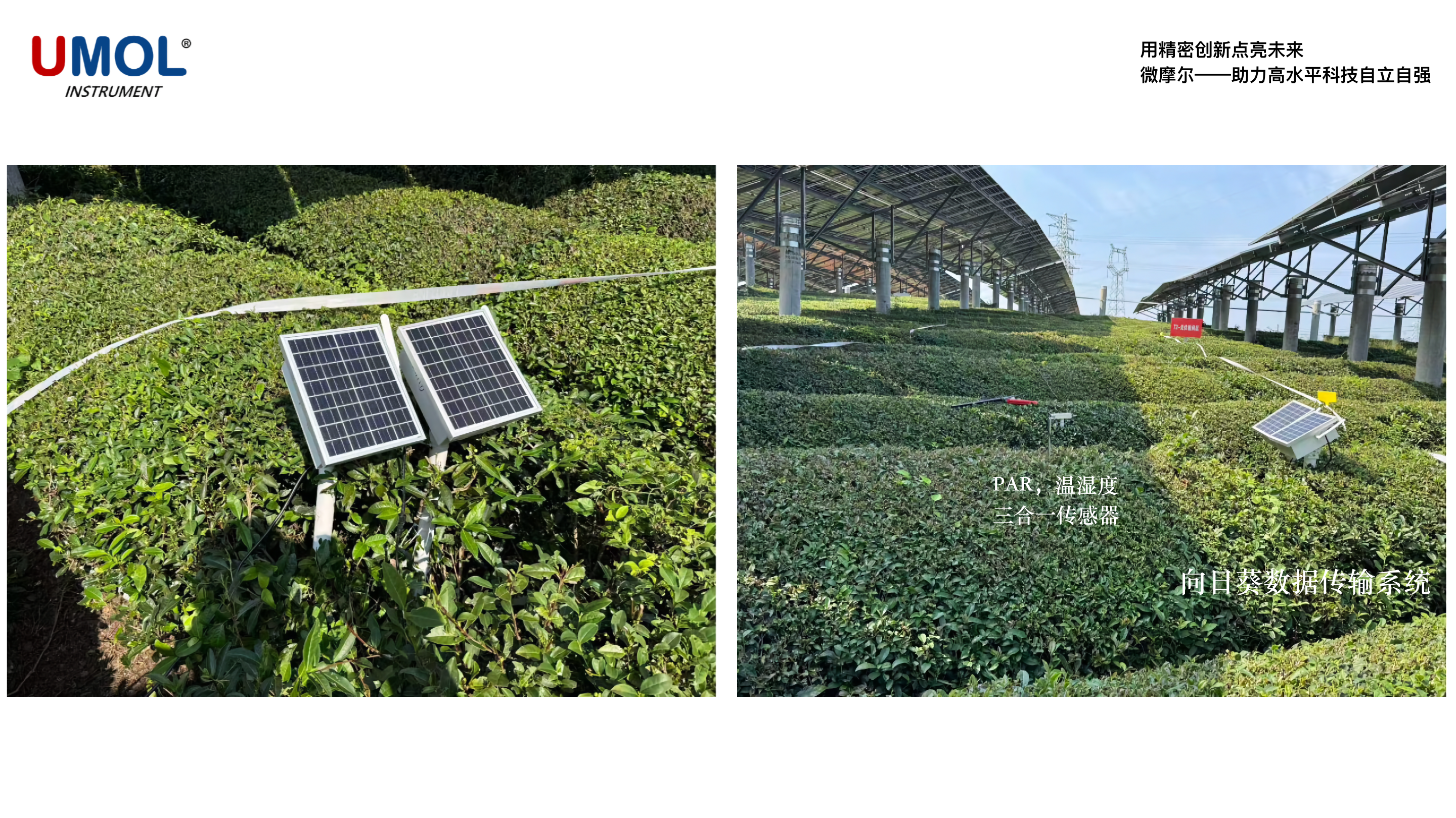 光伏茶园环境监测系统