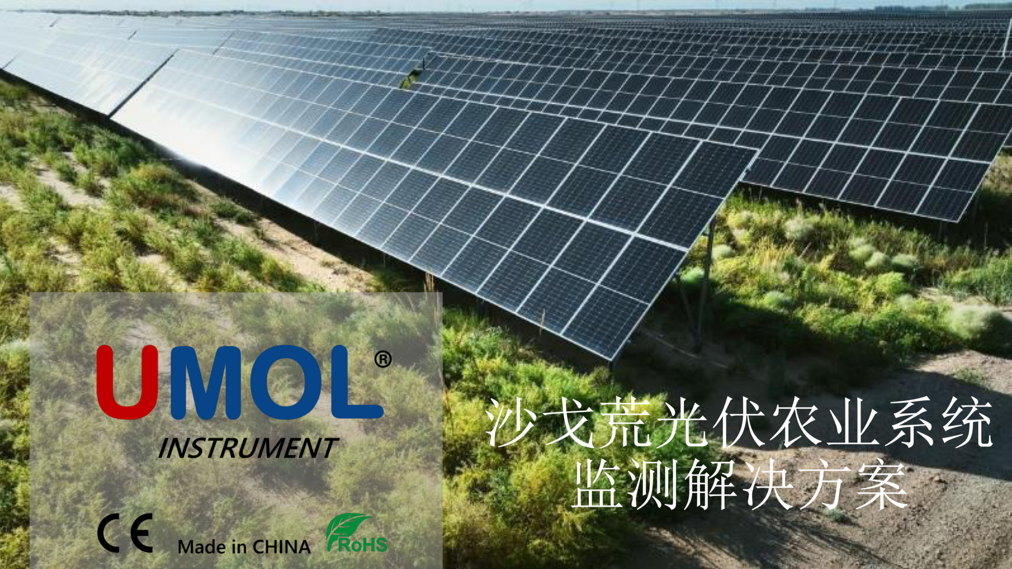 沙戈荒光伏农业解决方案