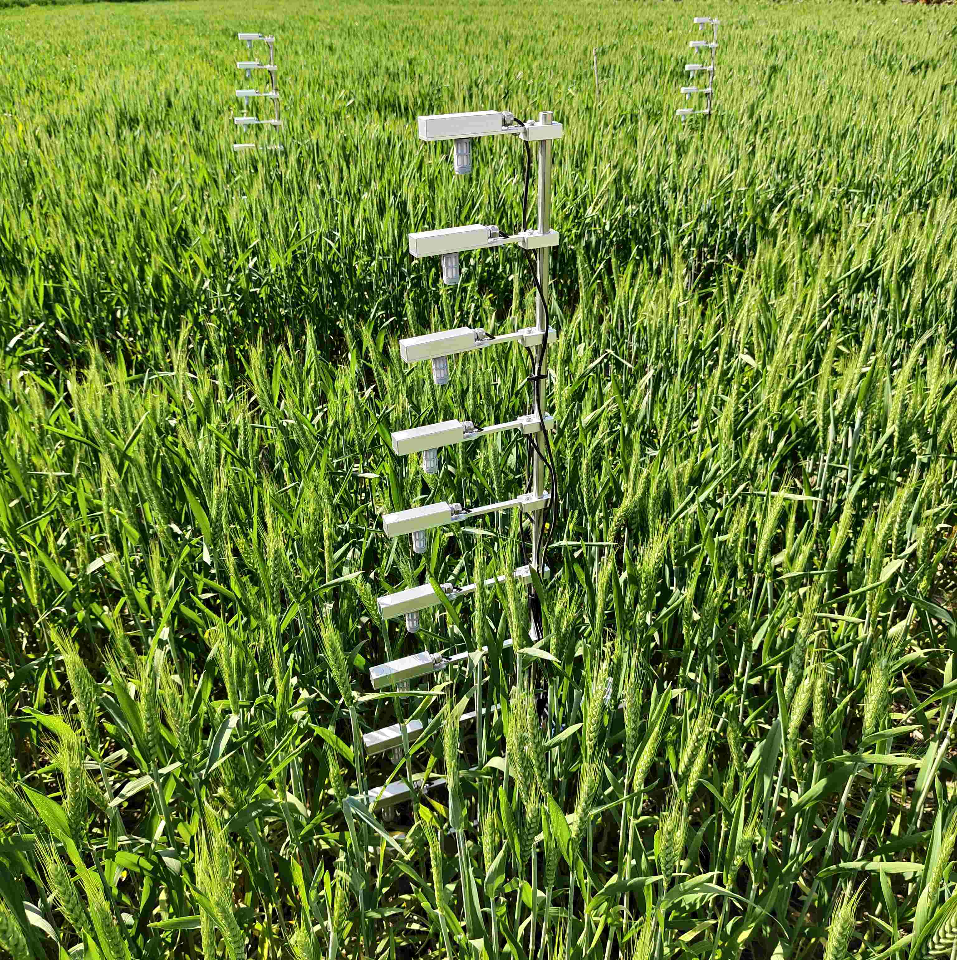 冠层微气候测量仪